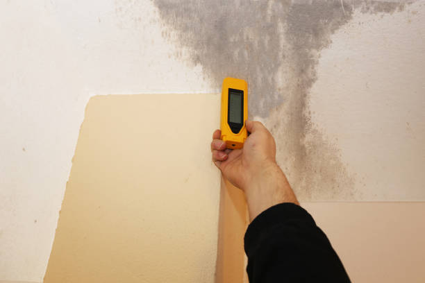 Best Indoor Air Quality Assessment  in Bort, GA