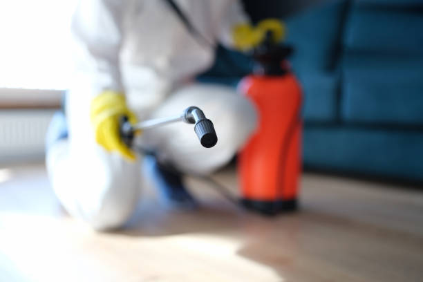 Mold Remediation for Rental Properties in Bogart, GA
