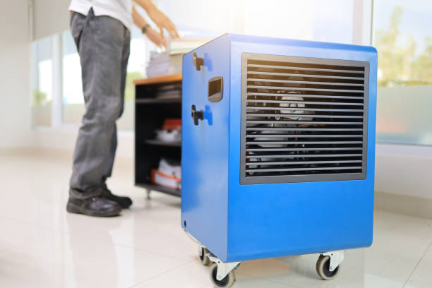 Best Mold Remediation for Rental Properties  in Bort, GA